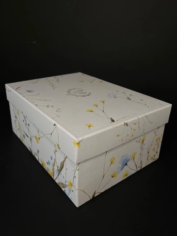 BOX RETANGULAR 